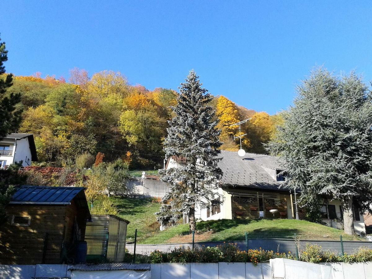 B&B Ma Maison Hautes Vosges Ranspach Номер фото